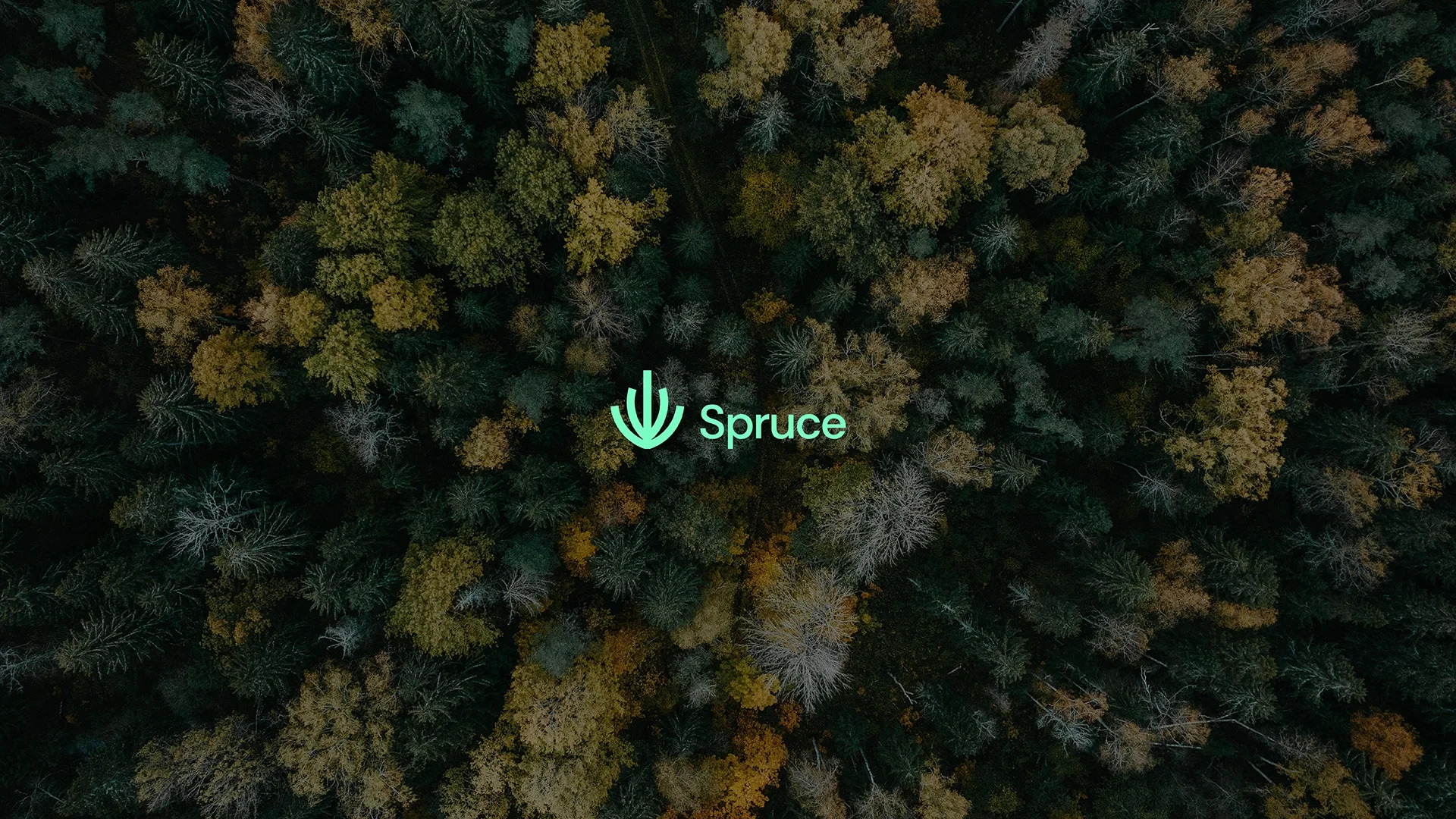 Spruce est une startup rennaise proposant un seul et unique service : la prospection LinkedIn automatisée. Branding et web design par Not In Paris Now